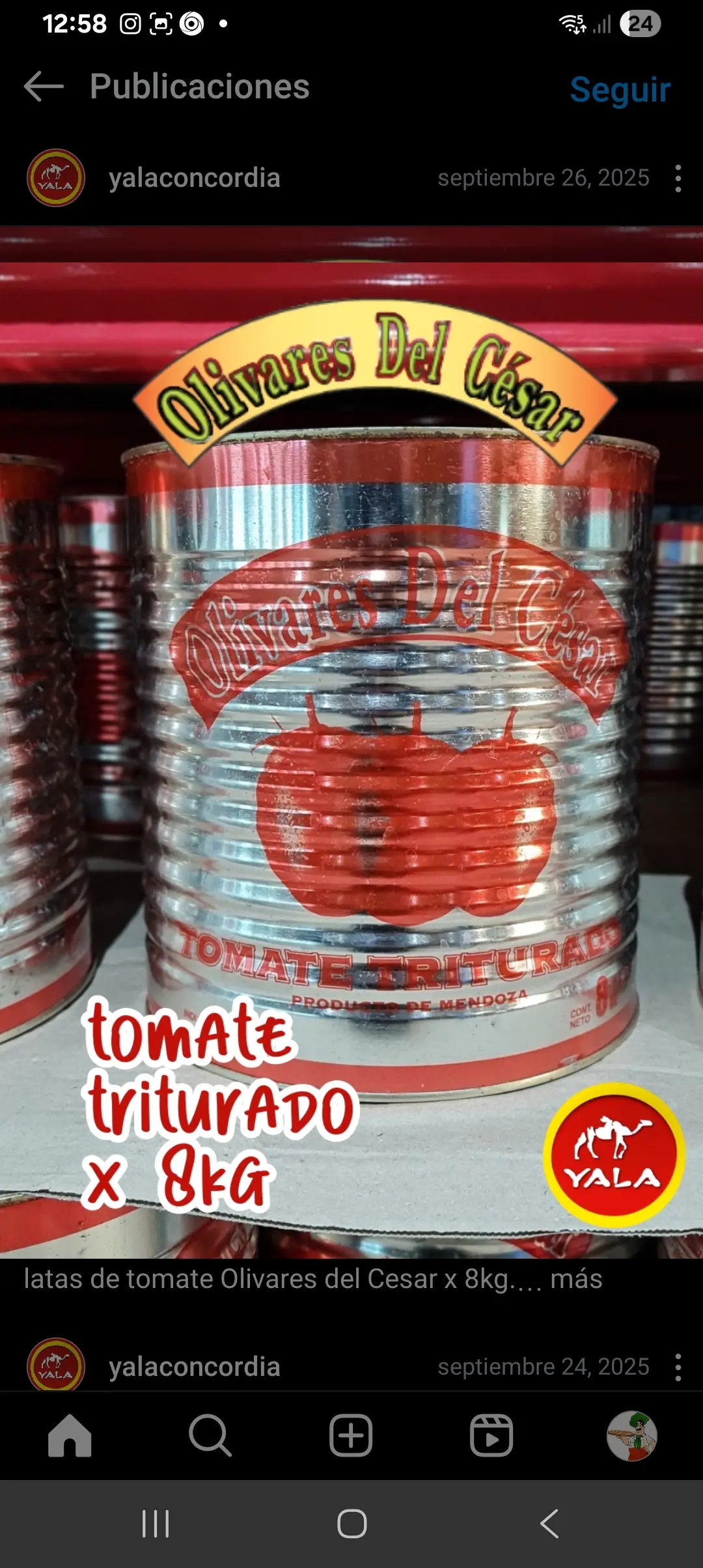 TOMATE TRITURADO 